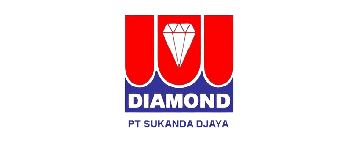 logo 13